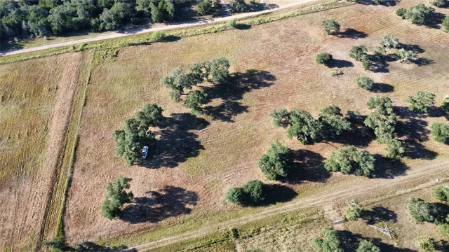 a view of a lot of flowers in a yard