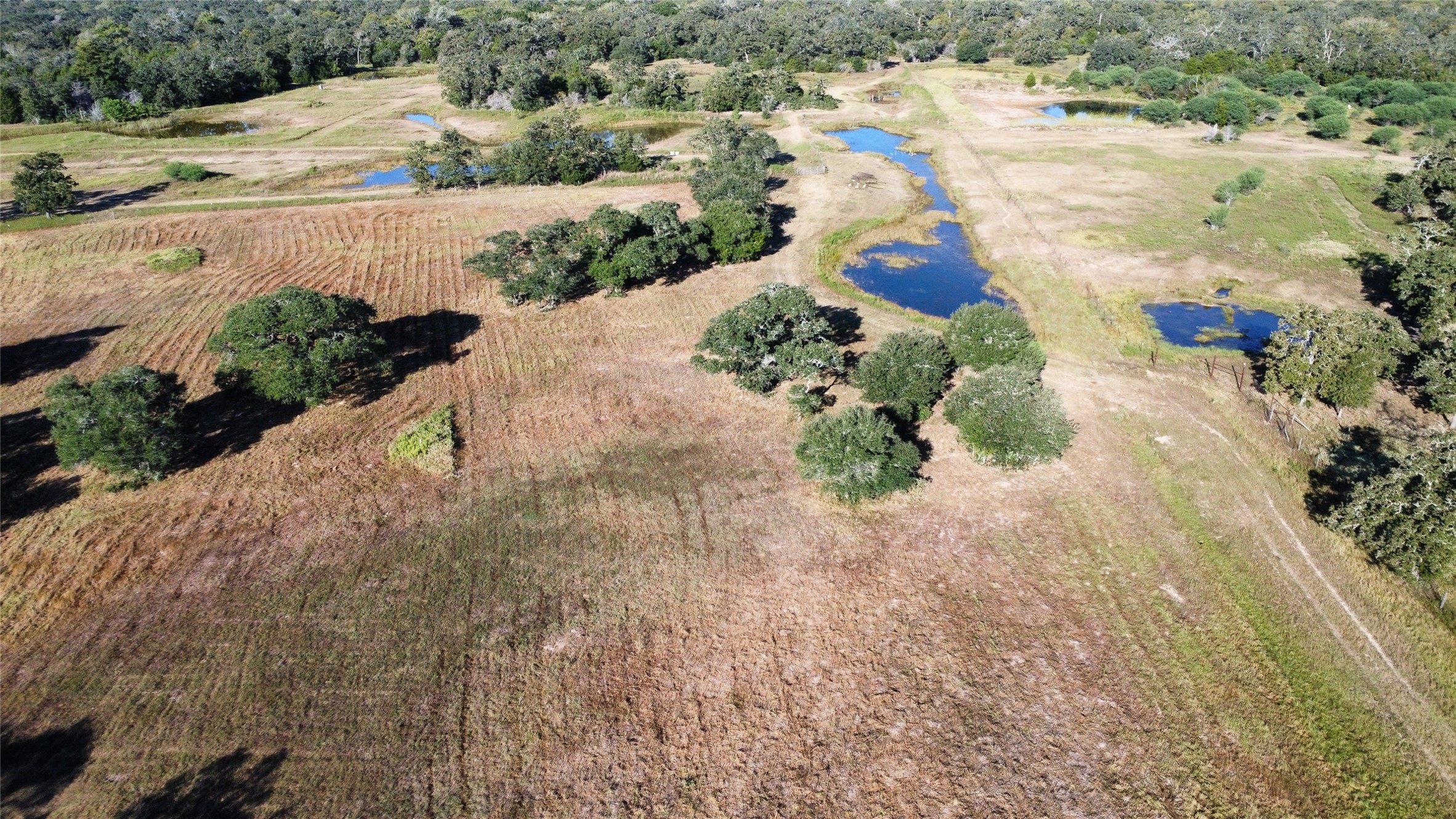 1044 Transeau Lane Columbus, TX 78934 - Photo 5 of 12