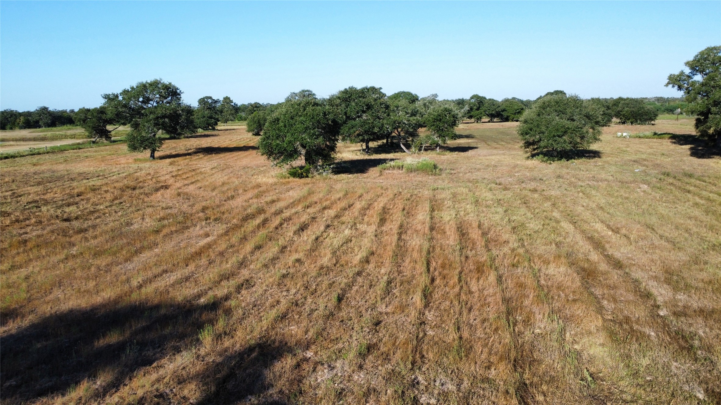 1044 Transeau Lane Columbus, TX 78934 - Photo 6 of 12