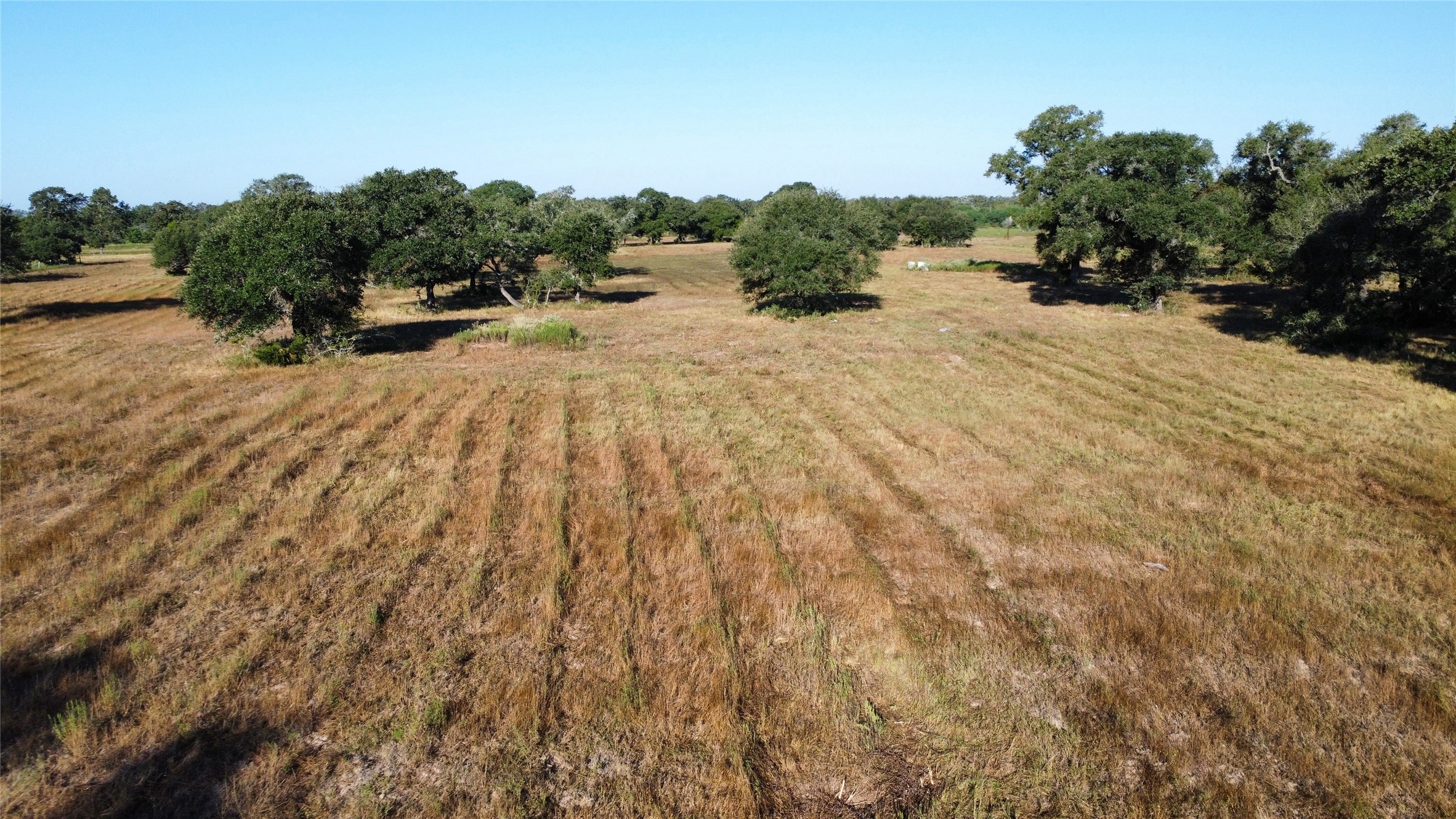 1044 Transeau Lane Columbus, TX 78934 - Photo 7 of 12