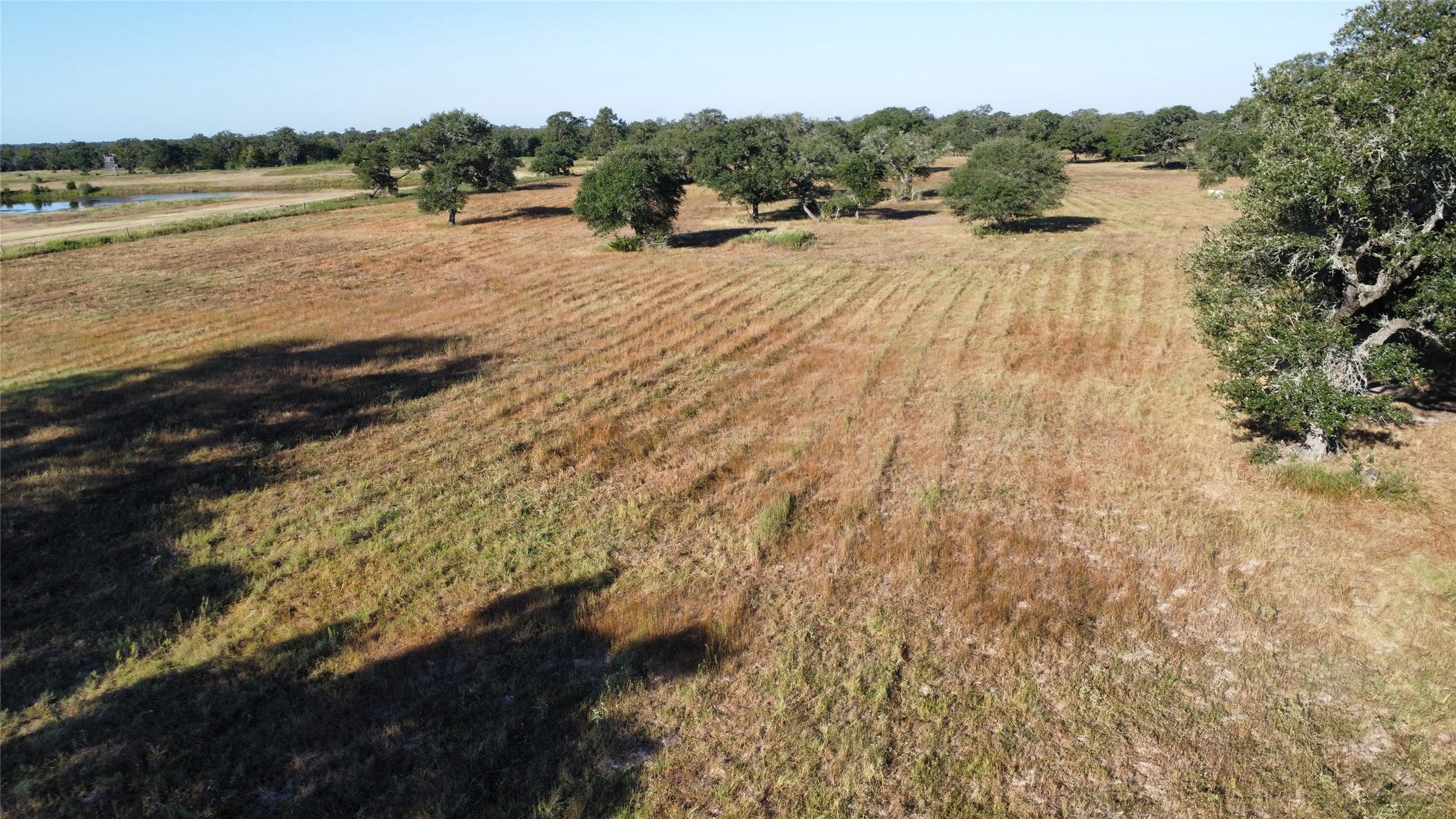 1044 Transeau Lane Columbus, TX 78934 - Photo 8 of 12