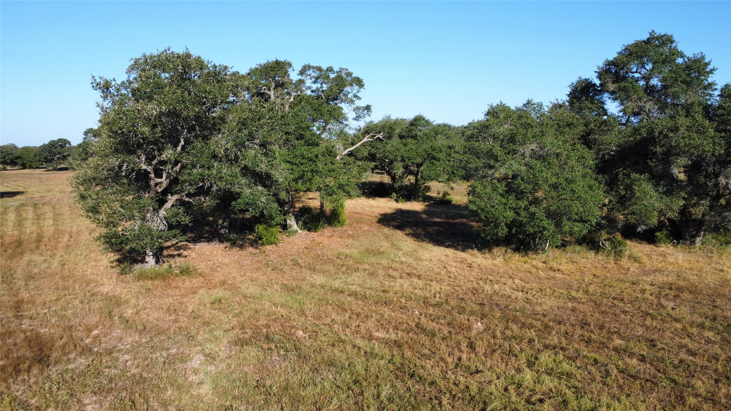 1044 Transeau Lane Columbus, TX 78934 - Photo 9 of 12