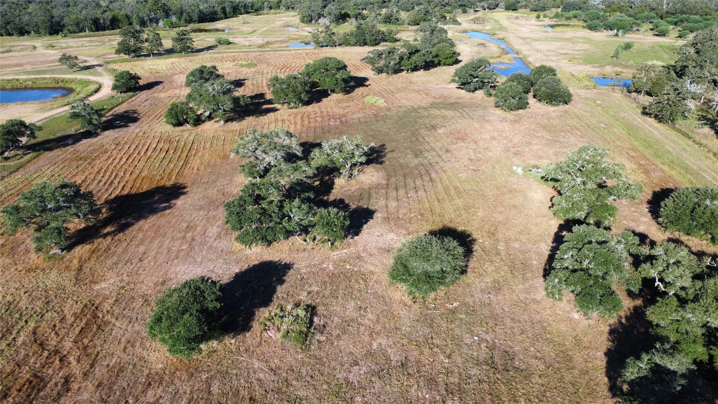 1044 Transeau Lane Columbus, TX 78934 - Photo 10 of 12