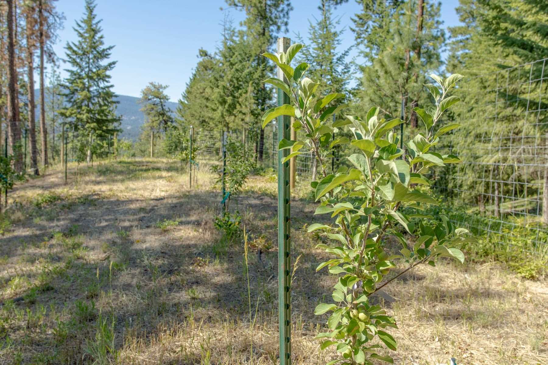1667 Nickles Road Kettle Falls, WA 99141 - Photo 50 of 50