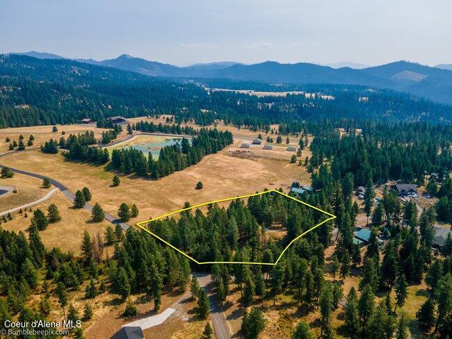 13534 South Ridgeview Drive Harrison, ID 83833 - Photo 1 of 70 003_bb193731-3_813
