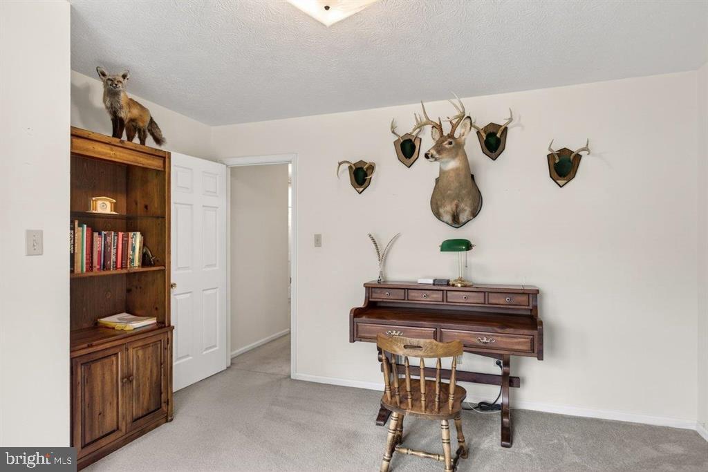 2220 Pine Woods Road Quicksburg, VA 22847 - Photo 52 of 55