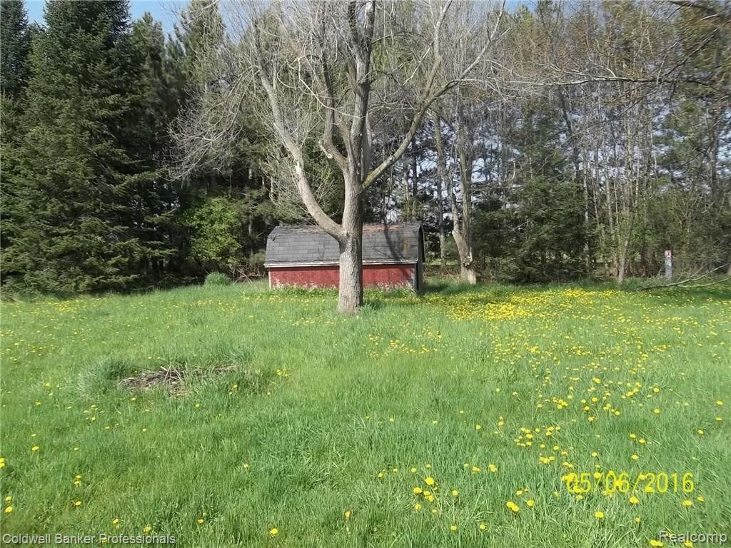 3817 Jones Road North Branch, MI 48461 - Photo 10 of 32 Back Yard & Barn