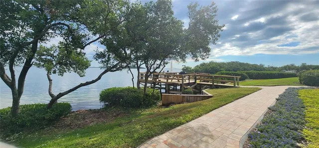 a view of a park with large trees