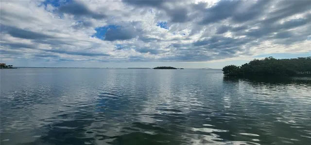 a view of a big yard with plants and large trees