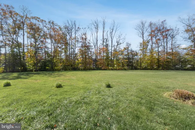 a view of outdoor space with green field