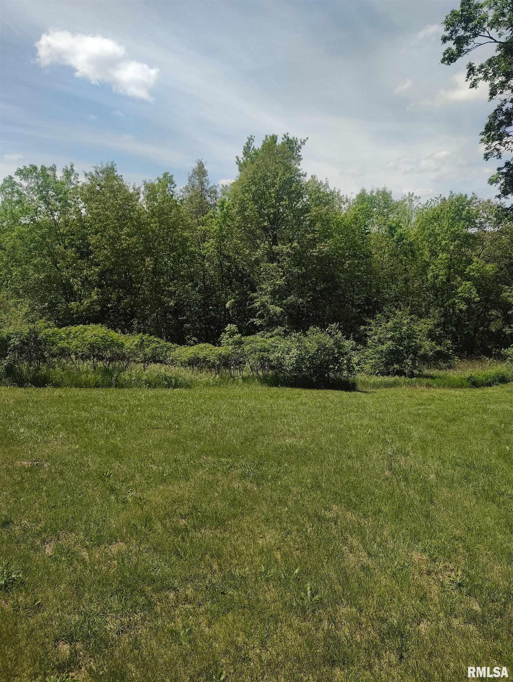 30720 North Norris Blacktop Road Farmington, IL 61531 - Photo 11 of 94