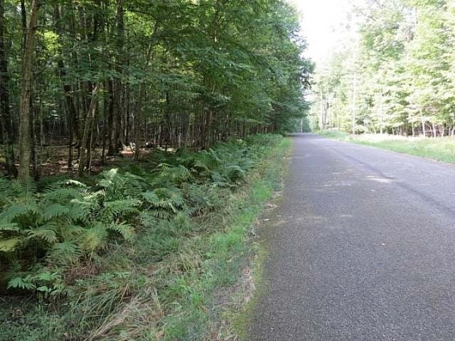 Lot 3 Timber Wolf Road Presque Isle, WI 54557 - Photo 14 of 19 Gallery Image 14