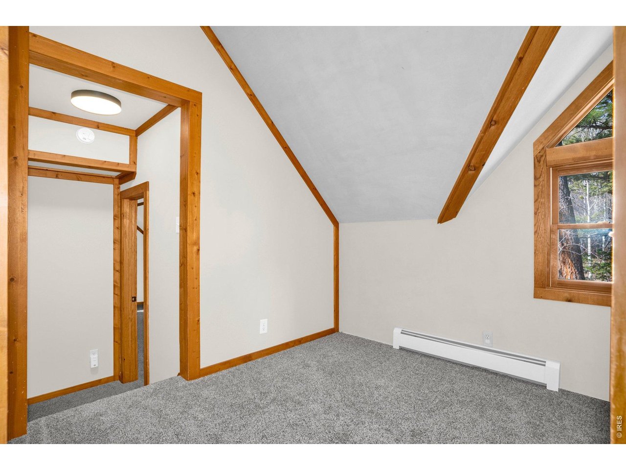 251 Haugen Slide Road Allenspark, CO 80510 - Photo 26 of 42