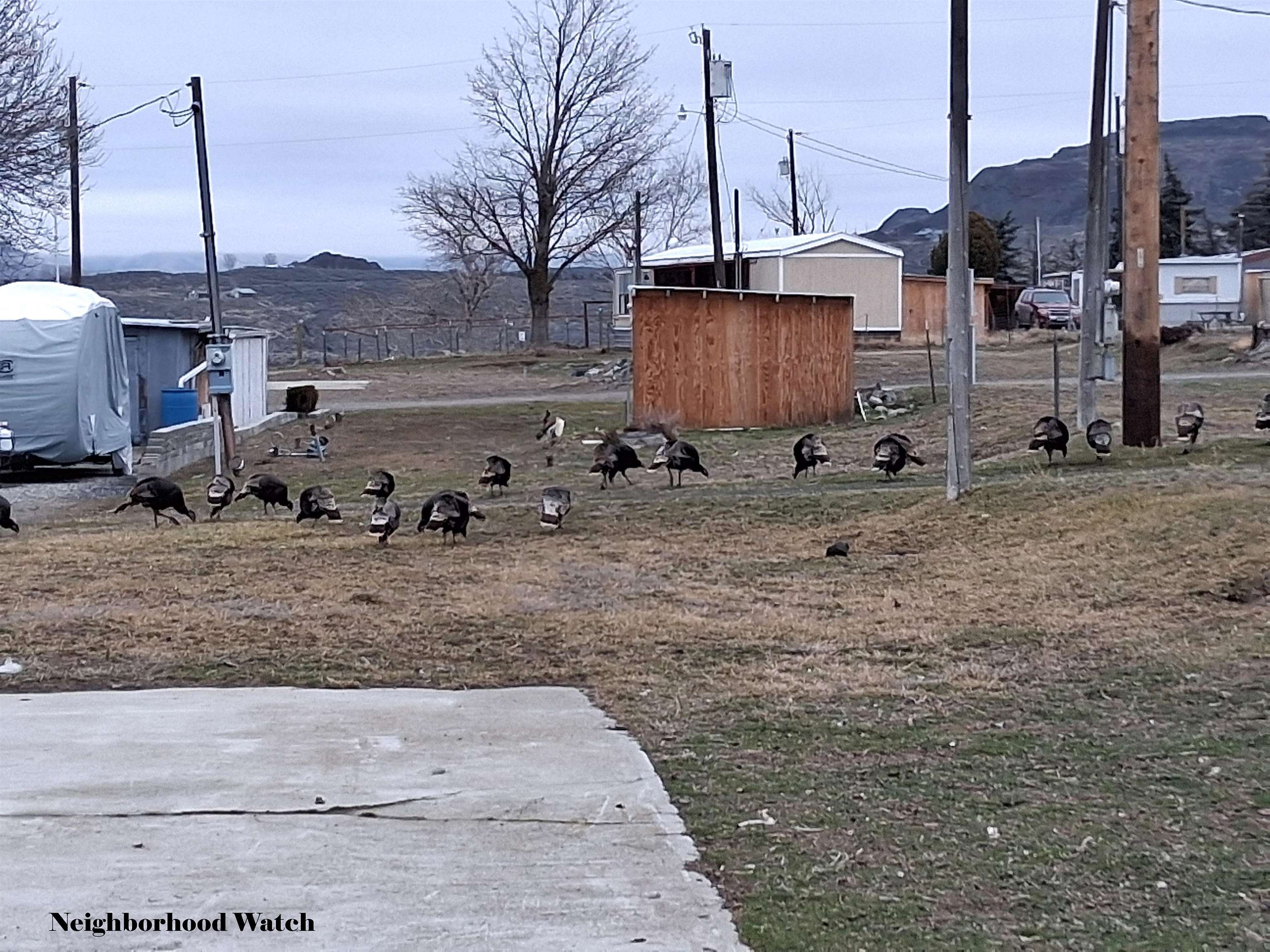 44900 North Wa 174 Route, Unit 73 Grand Coulee, WA 99133 - Photo 40 of 42