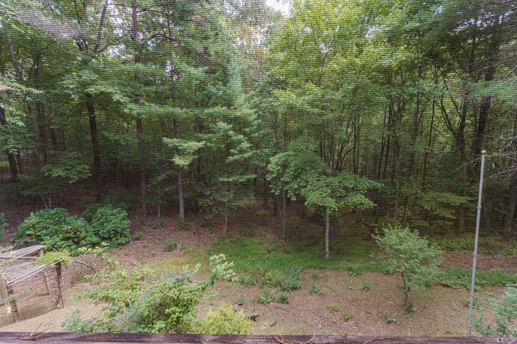 175 Sagewood Trail Murphy, NC 28906 - Photo 14 of 45