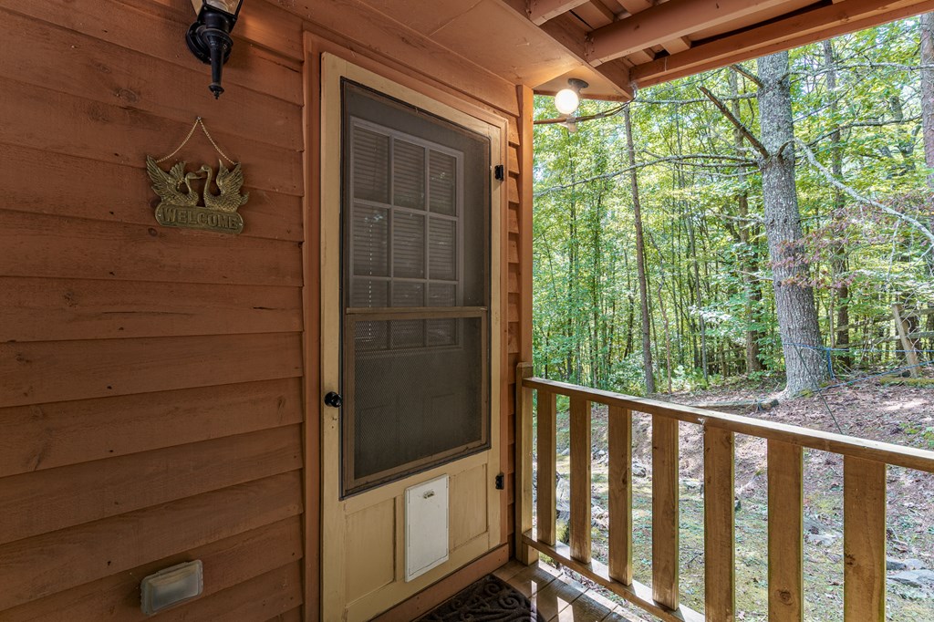 175 Sagewood Trail Murphy, NC 28906 - Photo 4 of 45