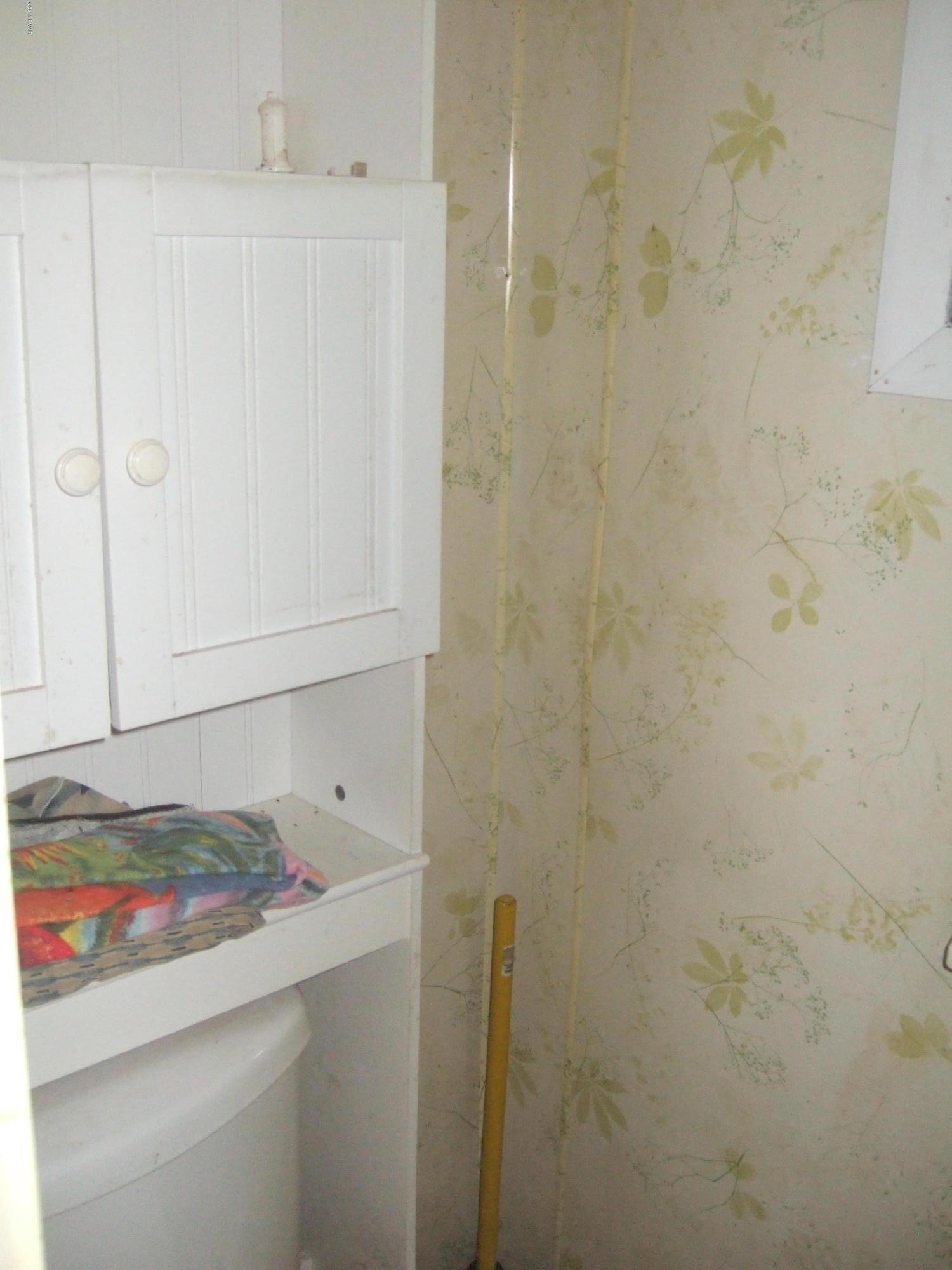 20 Old Peggy Runway Road Beach Lake, PA 18405 - Photo 21 of 26 Toilet Area