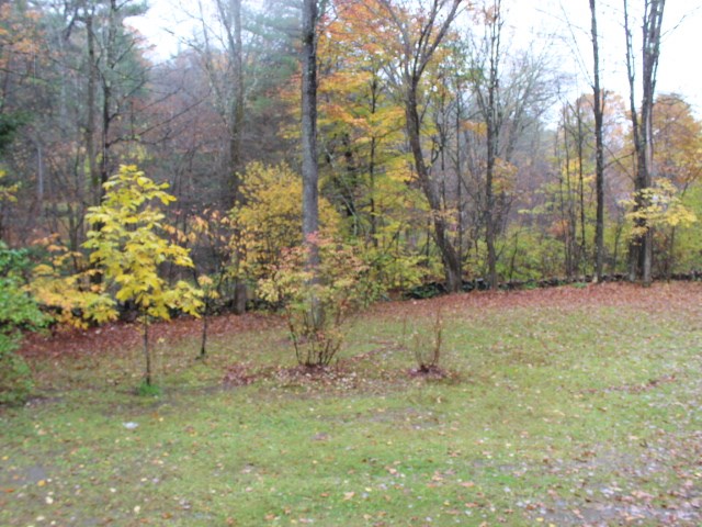 129 Old Stage Road Putney, VT 05346 - Photo 13 of 16