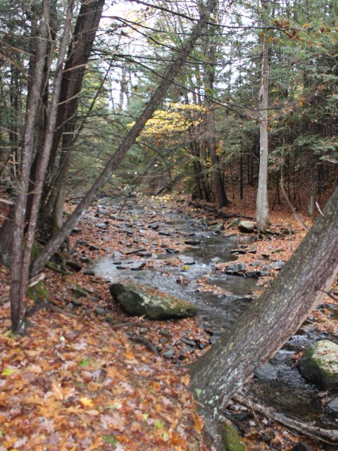 129 Old Stage Road Putney, VT 05346 - Photo 9 of 16