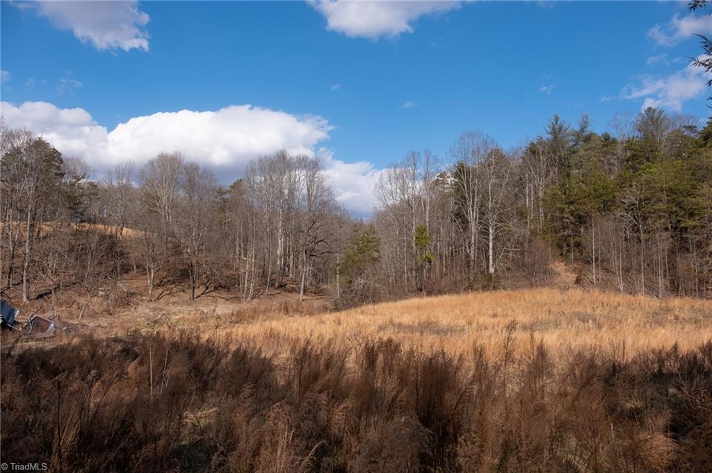 232 B Joe Layne Mill Road Elkin, NC 28621 - Photo 30 of 49 Gallery Image 30