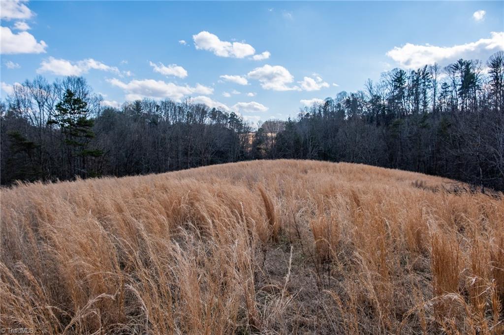 232 B Joe Layne Mill Road Elkin, NC 28621 - Photo 33 of 49 Gallery Image 33