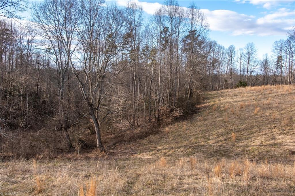 232 B Joe Layne Mill Road Elkin, NC 28621 - Photo 10 of 49 Gallery Image 10