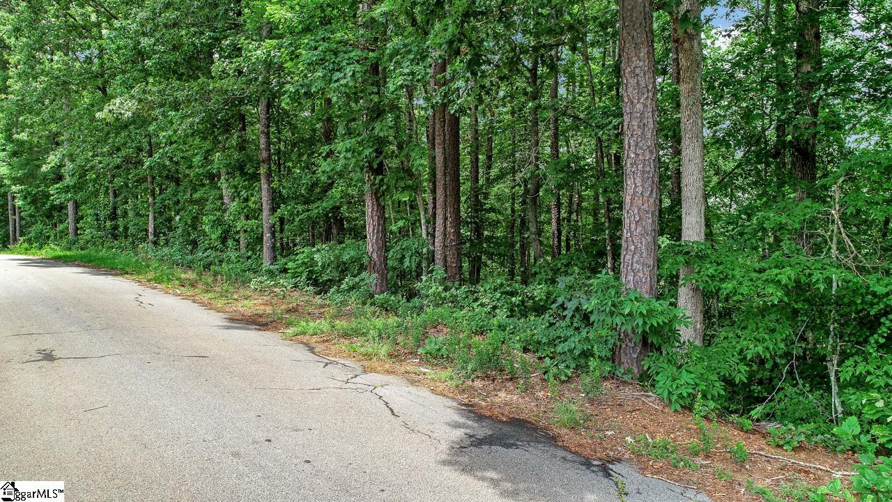 Left Fork Road Pickens, SC 29671 - Photo 2 of 5