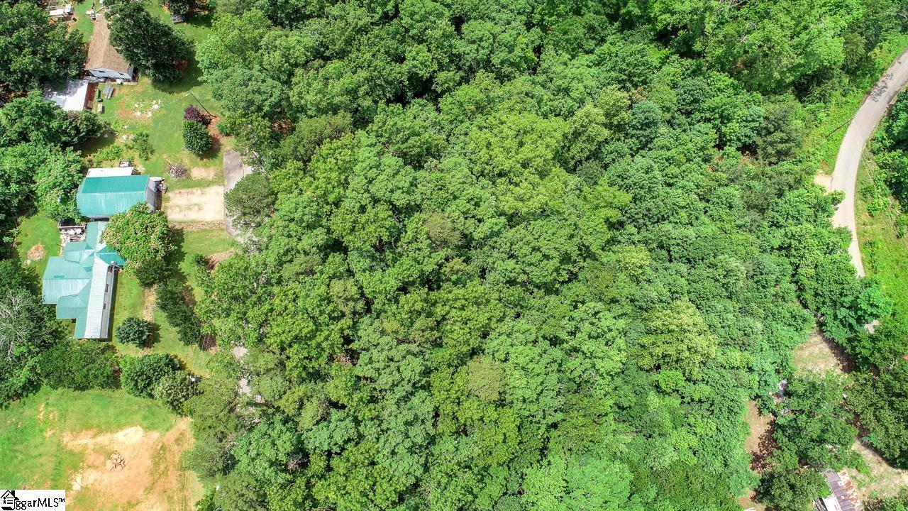 Left Fork Road Pickens, SC 29671 - Photo 4 of 5