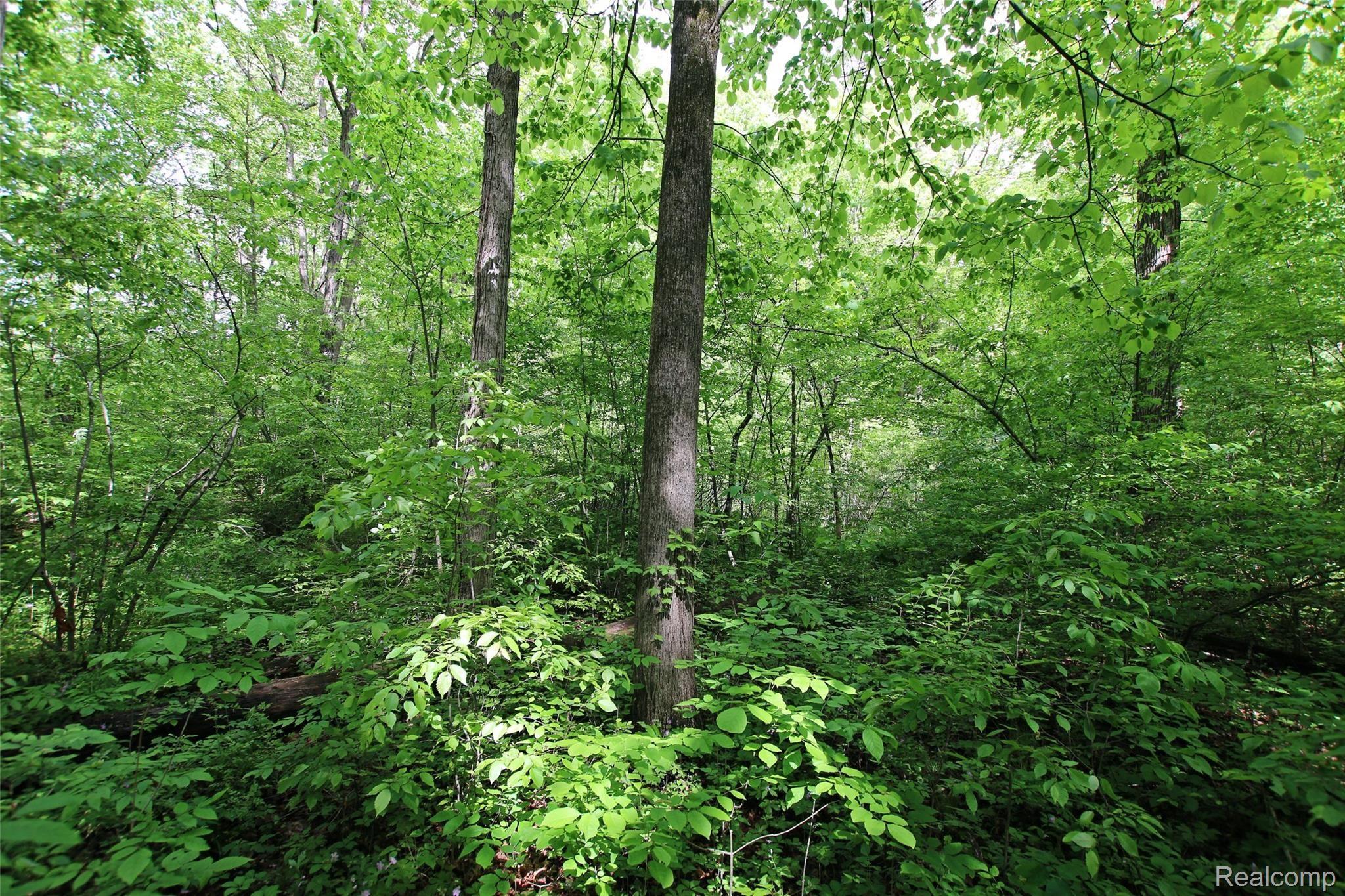 310 North Van Road Holly, MI 48442 - Photo 74 of 75 73) Trails.jpg