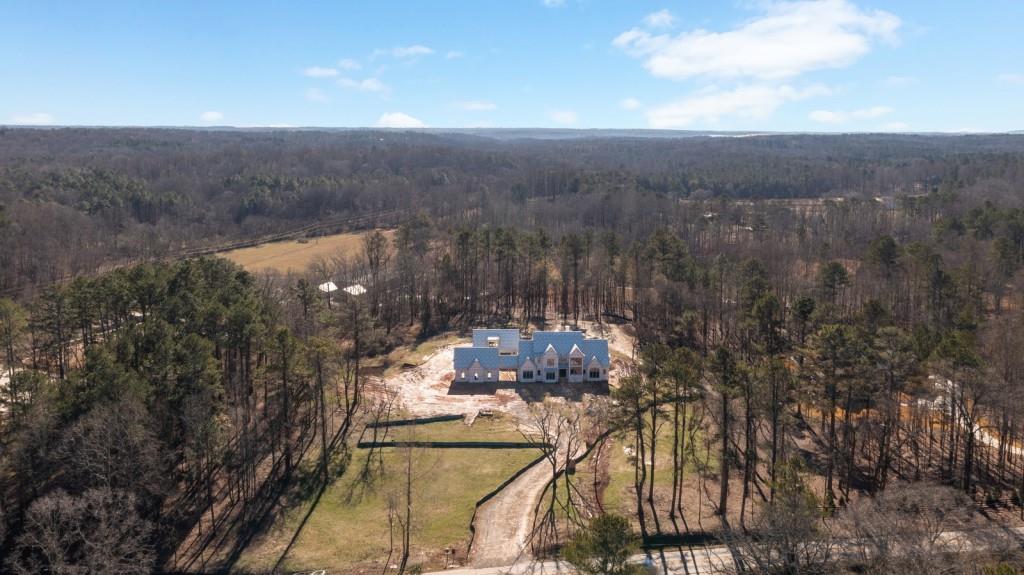 113 Hickory Flat Road Canton, GA 30115 - Photo 4 of 37 a view of city and mountain