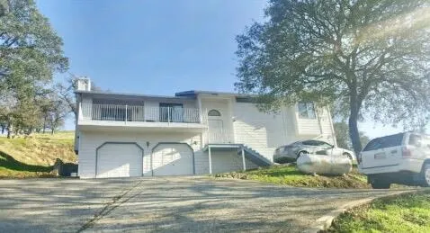 a view of a park with large trees