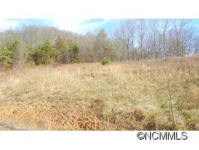 Lots 3-a3b Lots 3-a3b Windgate Road Clyde, NC 28721 - Photo 3 of 8