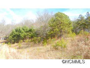 Lots 3-a3b Lots 3-a3b Windgate Road Clyde, NC 28721 - Photo 4 of 8