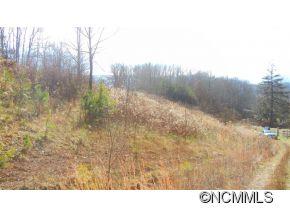 Lots 3-a3b Lots 3-a3b Windgate Road Clyde, NC 28721 - Photo 5 of 8
