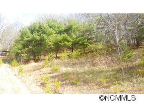 Lots 3-a3b Lots 3-a3b Windgate Road Clyde, NC 28721 - Photo 8 of 8