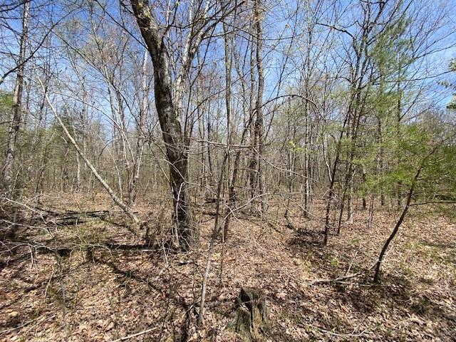 Lot 37 Azalea Ridge Road, Unit LOT 37 Tracy City, TN 37387 - Photo 8 of 10 10