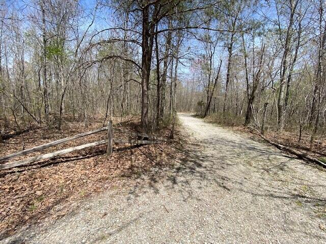 Lot 37 Azalea Ridge Road, Unit LOT 37 Tracy City, TN 37387 - Photo 9 of 10 11