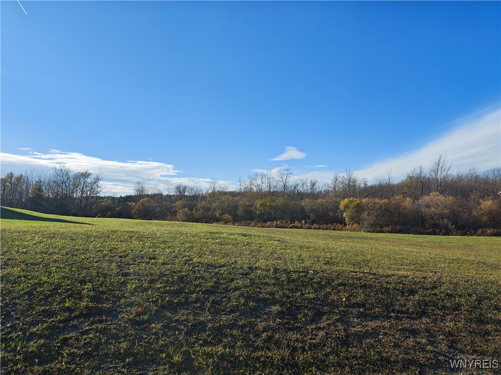 0 Donahue Road Batavia, NY 14020 - Photo 3 of 5