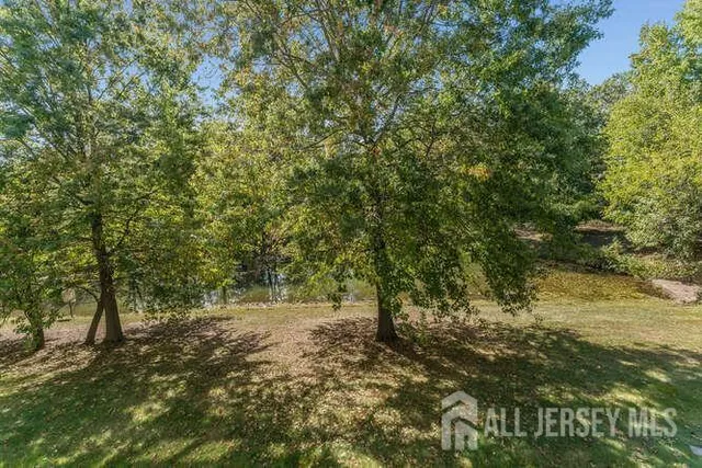 a view of a yard with a tree