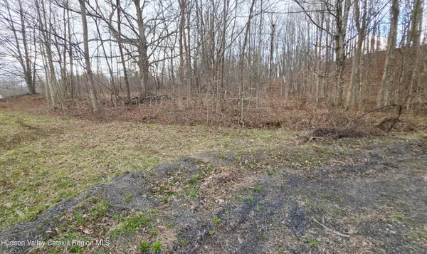 $45,000 | 0 Flinn Road, Cornwallville, NY 12418