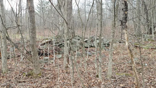 $45,000 | 0 Flinn Road, Cornwallville, NY 12418