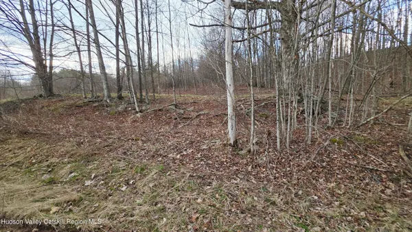 $45,000 | 0 Flinn Road, Cornwallville, NY 12418