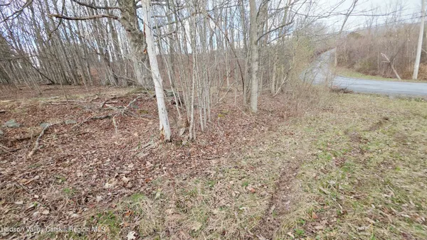 $45,000 | 0 Flinn Road, Cornwallville, NY 12418