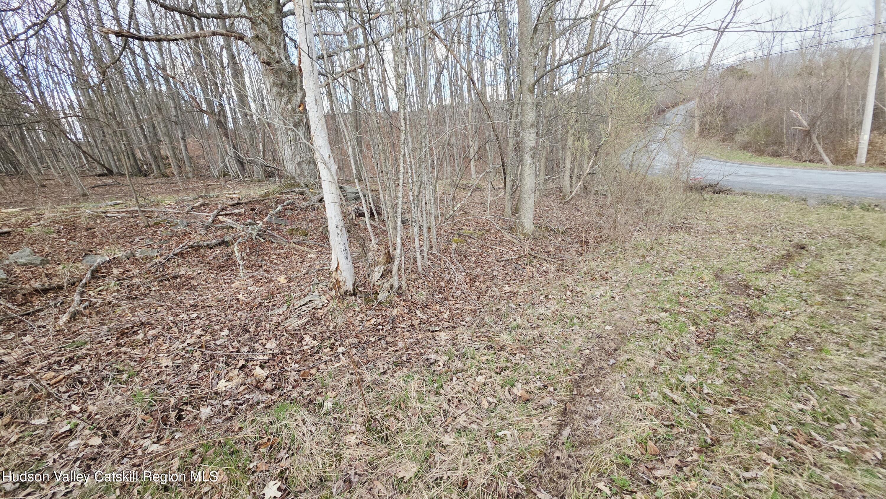 0 Flinn Road Cornwallville, NY 12418 - Photo 6 of 9 59181