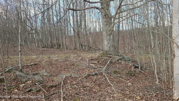 $45,000 | 0 Flinn Road, Cornwallville, NY 12418