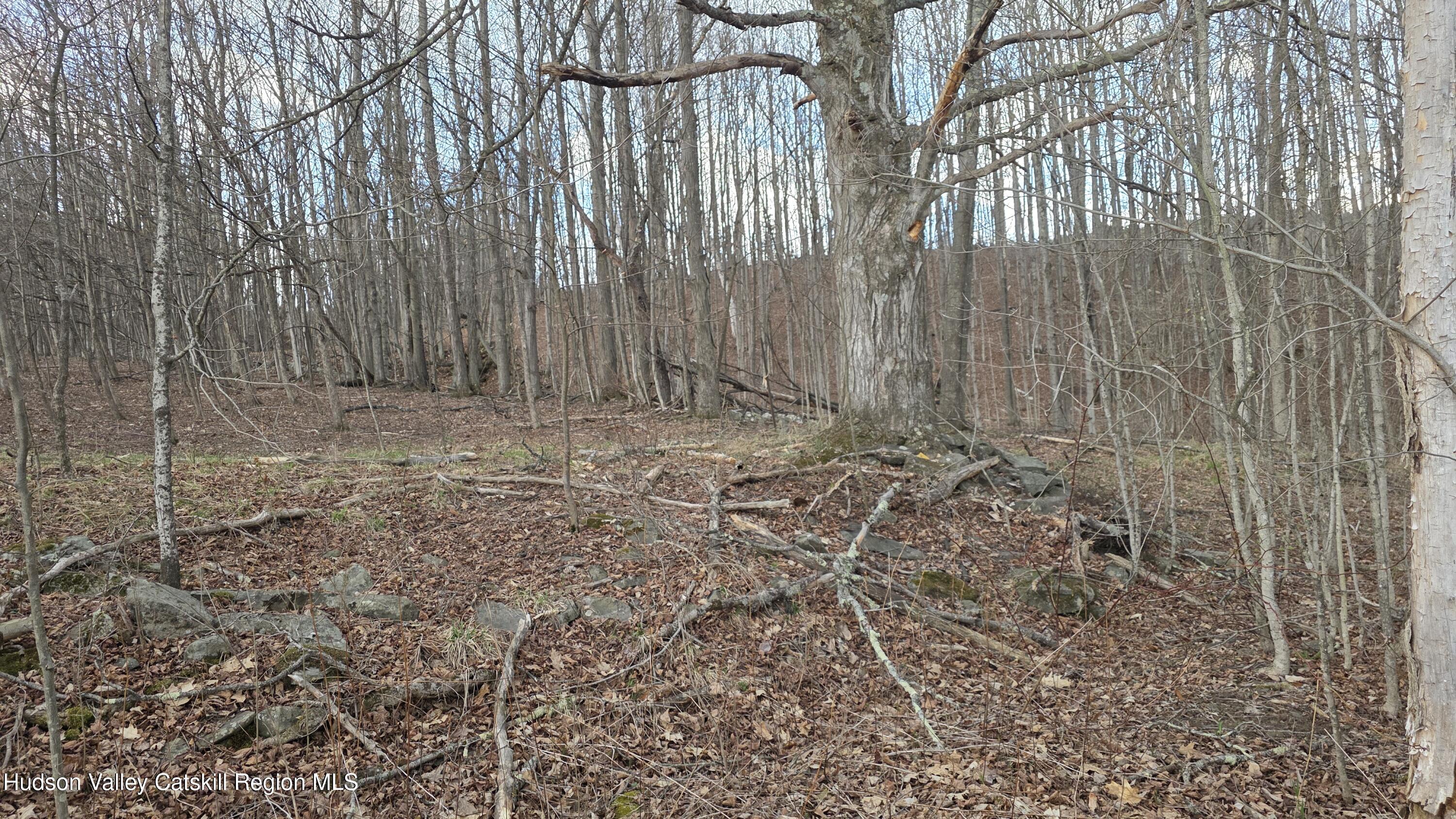 0 Flinn Road Cornwallville, NY 12418 - Photo 8 of 9 59176