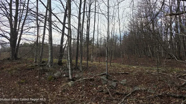 $45,000 | 0 Flinn Road, Cornwallville, NY 12418