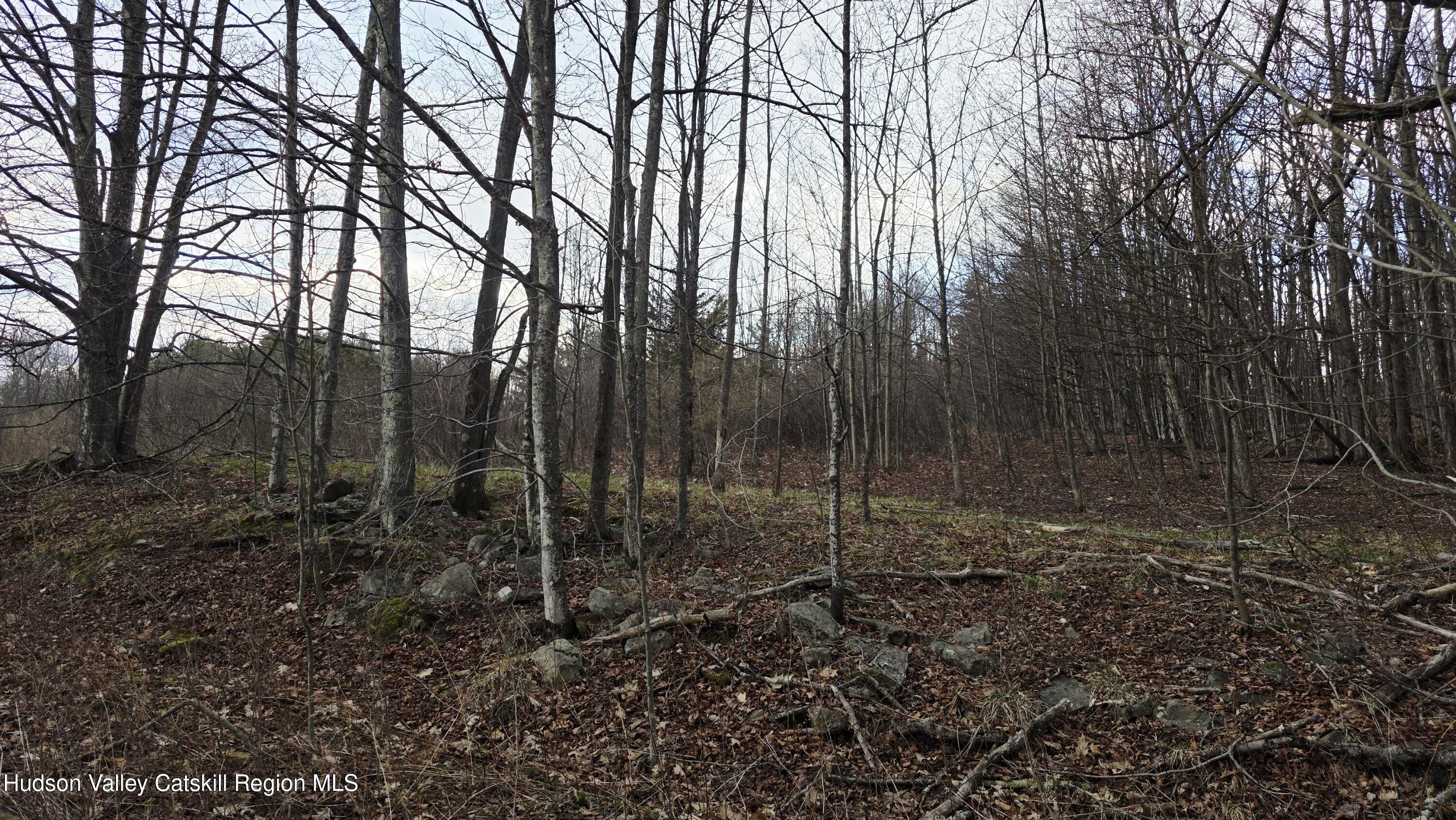 0 Flinn Road Cornwallville, NY 12418 - Photo 9 of 9 59175