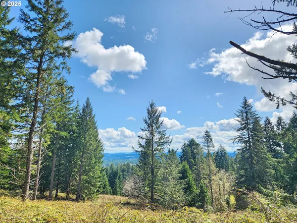 $2,240,000 | Bolton Hill Road North, Veneta, OR 97487