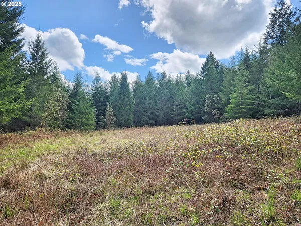 $2,240,000 | Bolton Hill Road North, Veneta, OR 97487